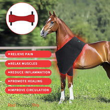Load image into Gallery viewer, Equine therapy devices for home use