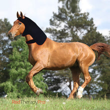 Load image into Gallery viewer, Equine red light therapy head wrap