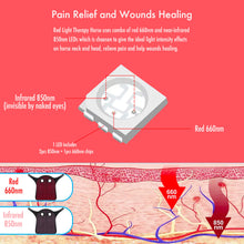 Load image into Gallery viewer, horse red light therapy belts for equine's head and neck