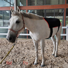 Load image into Gallery viewer, cordless red light therapy for horses