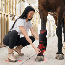 Load image into Gallery viewer, PEMF vs red light boots for horses