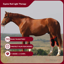 Load image into Gallery viewer, horse joint therapy wrap hock