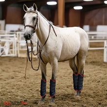 Load image into Gallery viewer, light-based therapy boots for horse legs