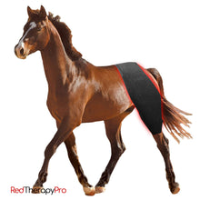 Load image into Gallery viewer, Horse red light therapy wrap