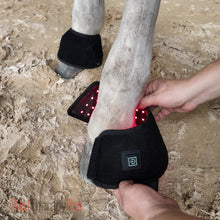 Load image into Gallery viewer, Equine Red Light Therapy Hoof Boot (Built-in Battery)