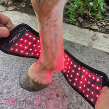 Load image into Gallery viewer, horse red light therapy hoof