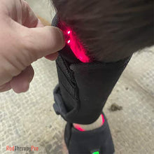 Load image into Gallery viewer, light therapy for equine joints