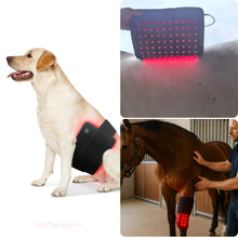 Load image into Gallery viewer, RedTherapyPro Horse Red Light Therapy Wrap - Rechargeable LED Pain Relief Device
