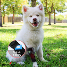 Load image into Gallery viewer, pet red light therapy wraps for dog leg treatment