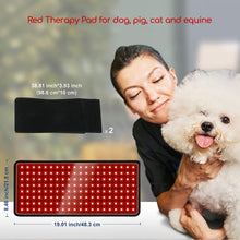 Load image into Gallery viewer, RedTherapyPro Horse Red Light Therapy Wrap - Rechargeable LED Pain Relief Device