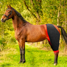 Load image into Gallery viewer, Red light therapy for horses
