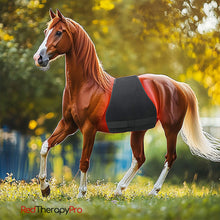 Load image into Gallery viewer, Equine red light therapy wraps