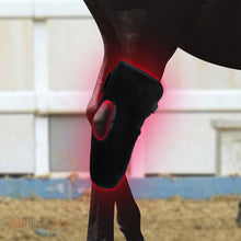 Load image into Gallery viewer, equine red light therapy hock wrap