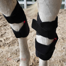 Load image into Gallery viewer, horse hock red light therapy