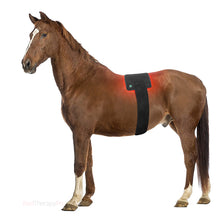 Load image into Gallery viewer, RedTherapyPro Horse Red Light Therapy Wrap - Rechargeable LED Pain Relief Device