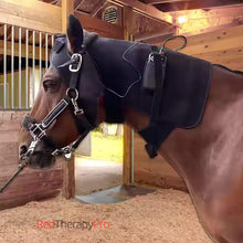 Load image into Gallery viewer, 	horse red light therapy head wrap
