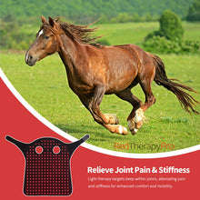 Load image into Gallery viewer, equine infrared light therapy wrap for head
