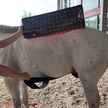 Load image into Gallery viewer, back pain relief for horses
