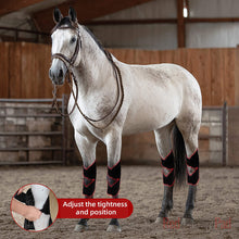 Load image into Gallery viewer, LED hock therapy for horses
