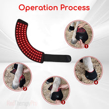 Load image into Gallery viewer, equine hoof therapy pad
