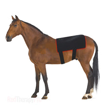 Load image into Gallery viewer, 660nm 850nm red light therapy for horses
