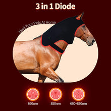 Load image into Gallery viewer, red infrared horse head wrap for soft-tissue recovery
