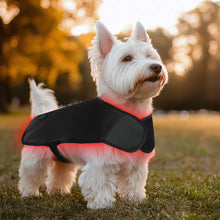Load image into Gallery viewer, red infrared therapy for pets
