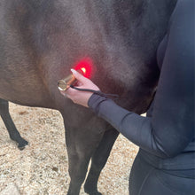 Load image into Gallery viewer, equine red light therapy torch
