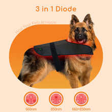 Load image into Gallery viewer, animal recovery light therapy
