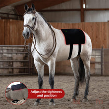 Load image into Gallery viewer, therapeutic light wrap for equine back
