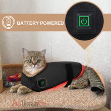 Load image into Gallery viewer, light therapy for arthritis in pets

