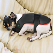 Load image into Gallery viewer, wearable pet wellness device
